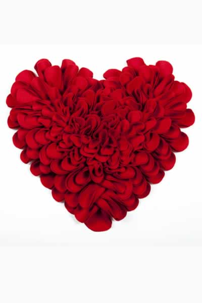 wall-flower-wool-mix-red-heart-6380-p 2